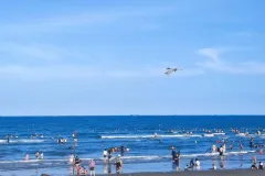 beach-crowd